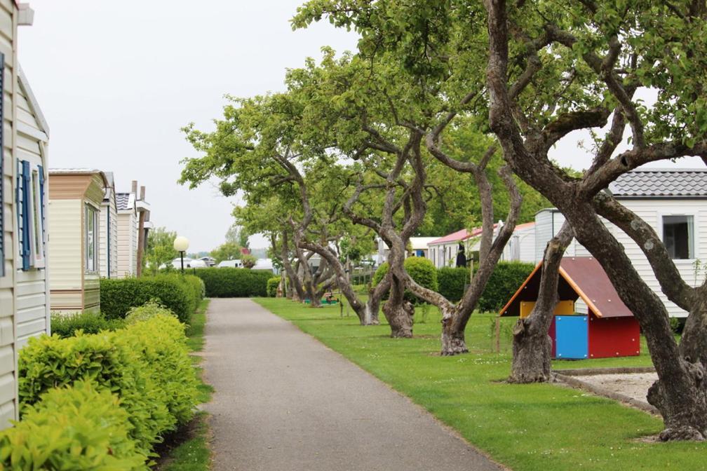 Siblu Camping In De Bongerd Oostkapelle Dış mekan fotoğraf